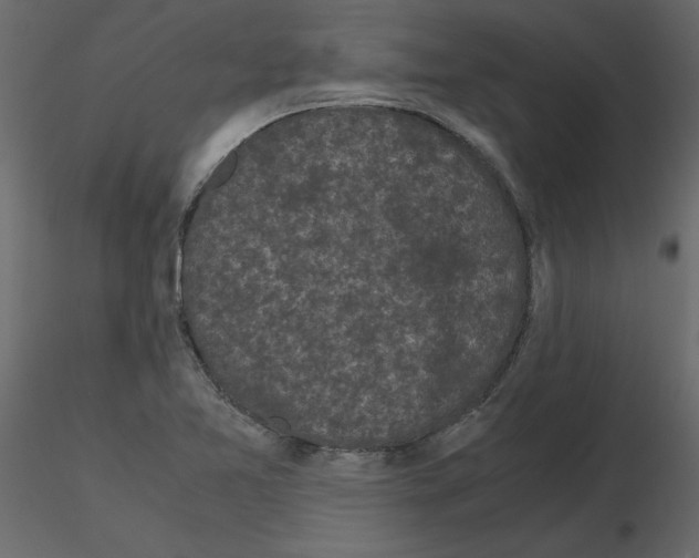 X0000115721365200912241556