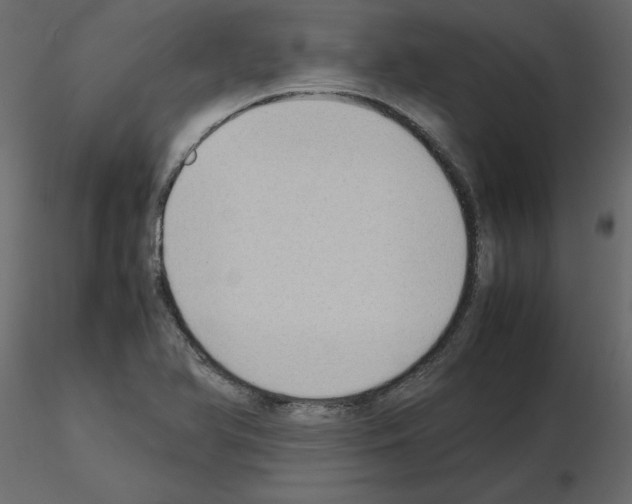 X0000115721366200912241556