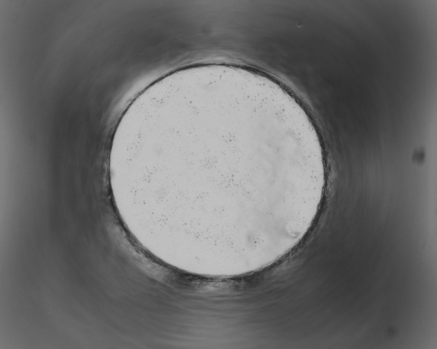 X0000115721367200912241556