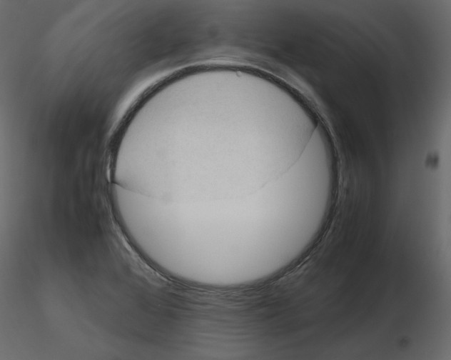 X0000115721368200912241556