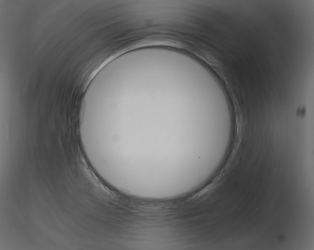 X0000115721369200912241556