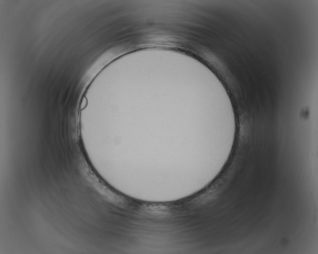 X0000115721370200912241556