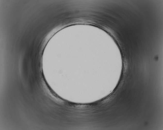 X0000115721371200912241556