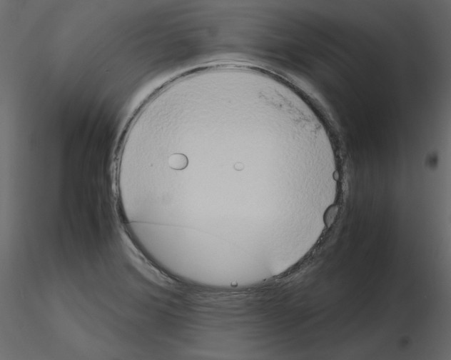 X0000115721372200912241556