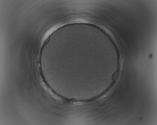 X0000115721373200912241556