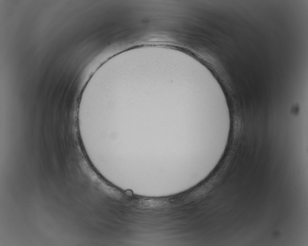 X0000115721374200912241556