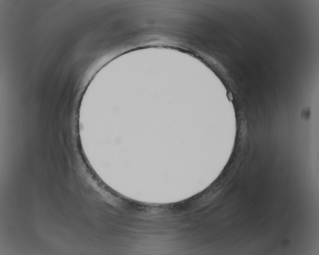 X0000115721375200912241556