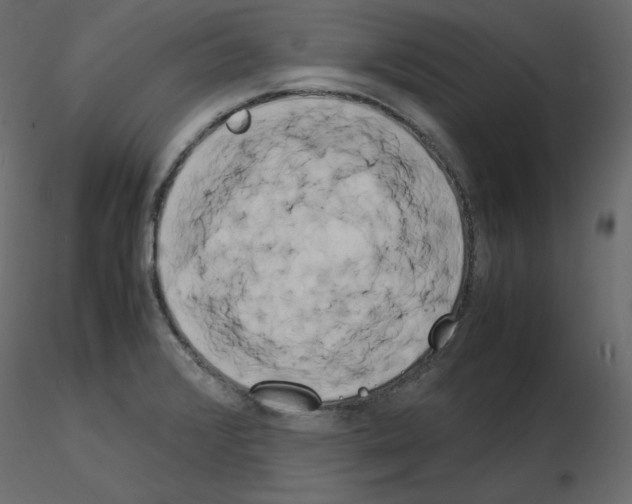 X0000115721376200912241556