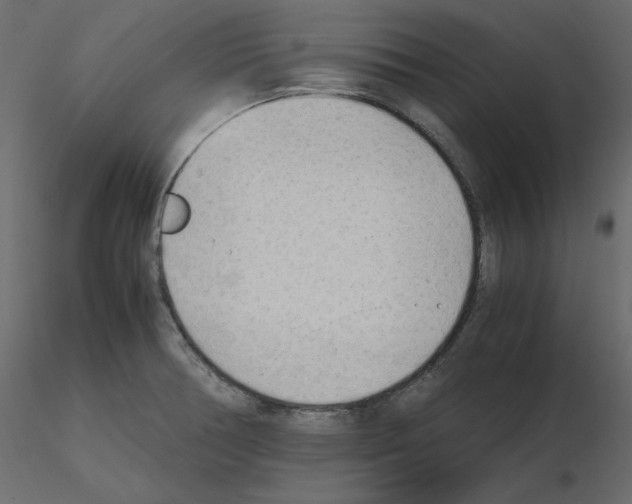 X0000115721378200912241556