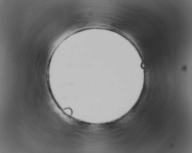 X0000115721379200912241556