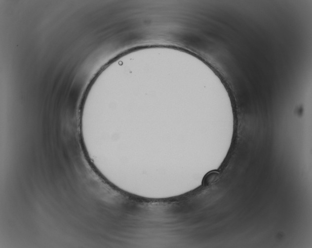 X0000115721380200912241556