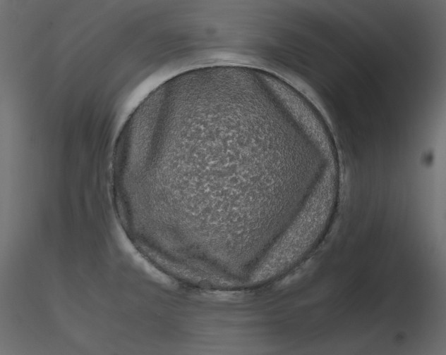 X0000115721381200912241556