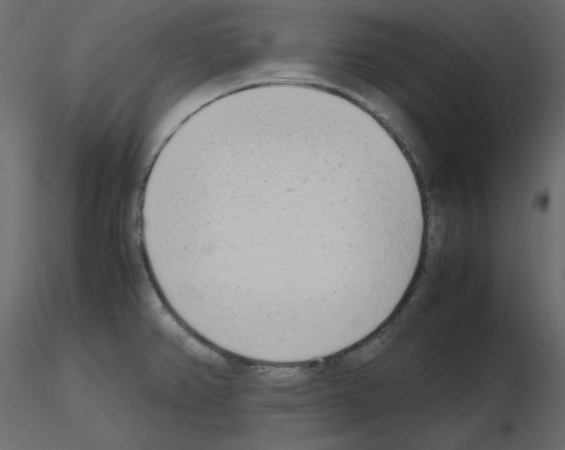X0000115721382200912241556