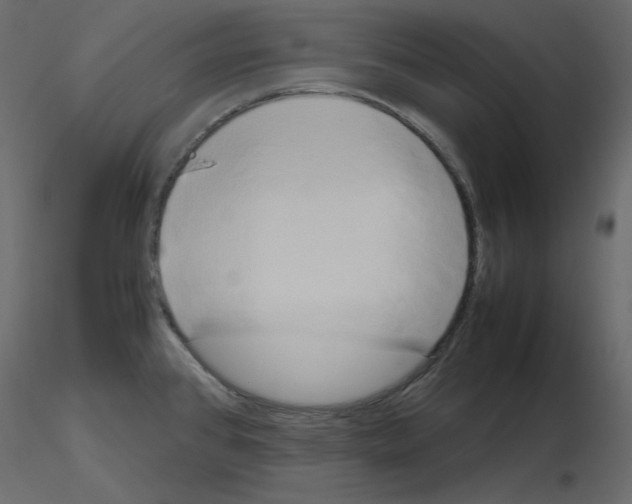 X0000115721384200912241556