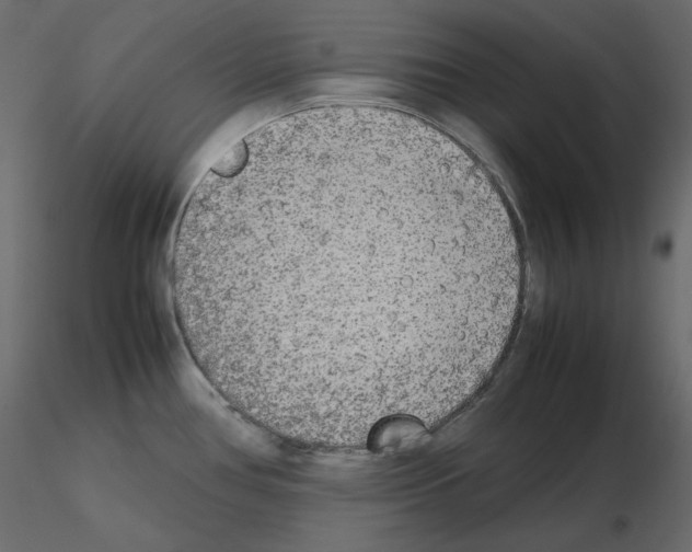 X0000115721386200912241556