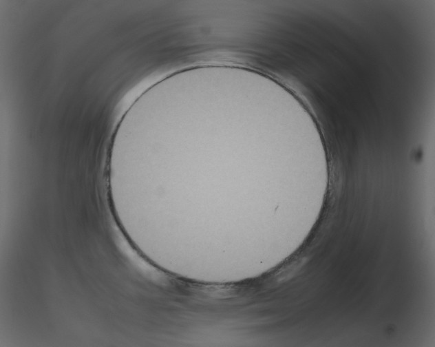 X0000115721387200912241556