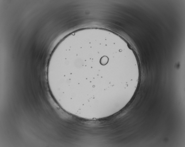X0000115721388200912241556