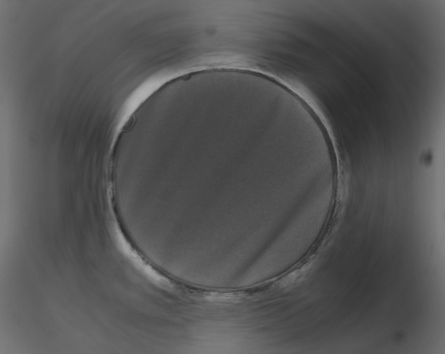 X0000115721389200912241556
