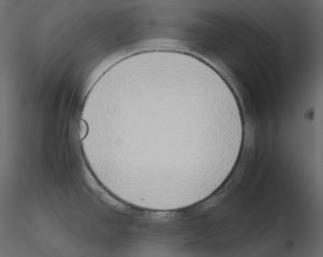X0000115721390200912241556