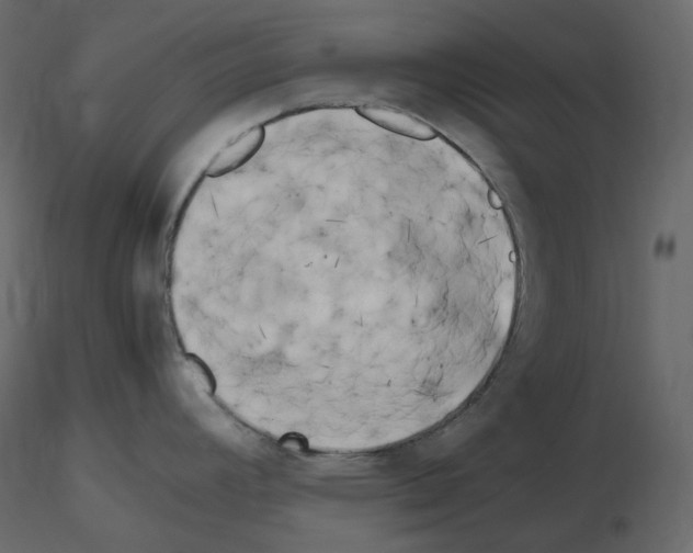 X0000115721392200912241556