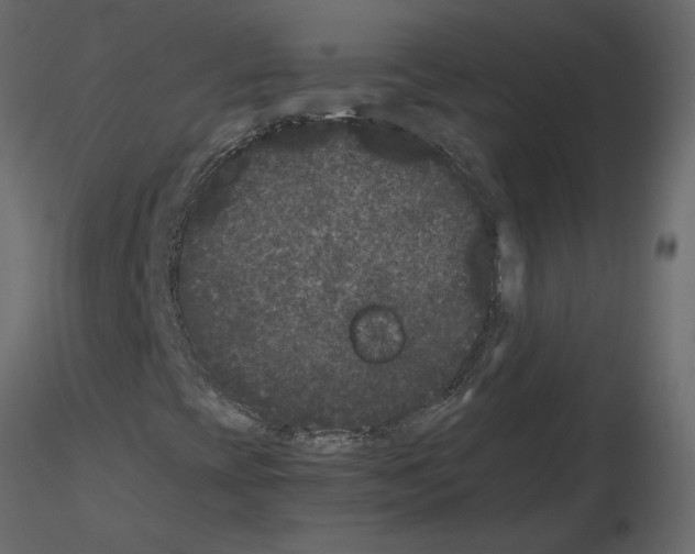 X0000115721393200912241555