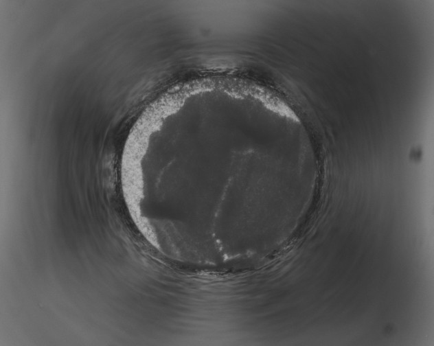 X0000115721394200912241555