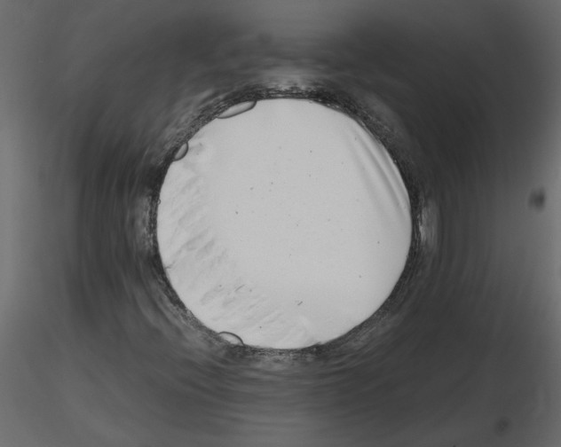 X0000115721396200912241555