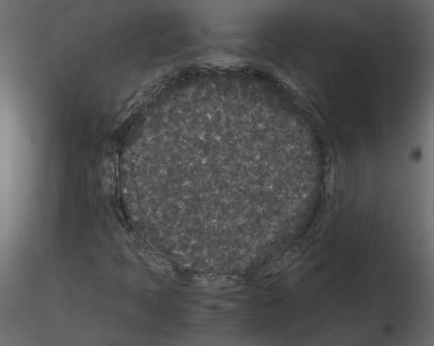 X0000115721397200912241555