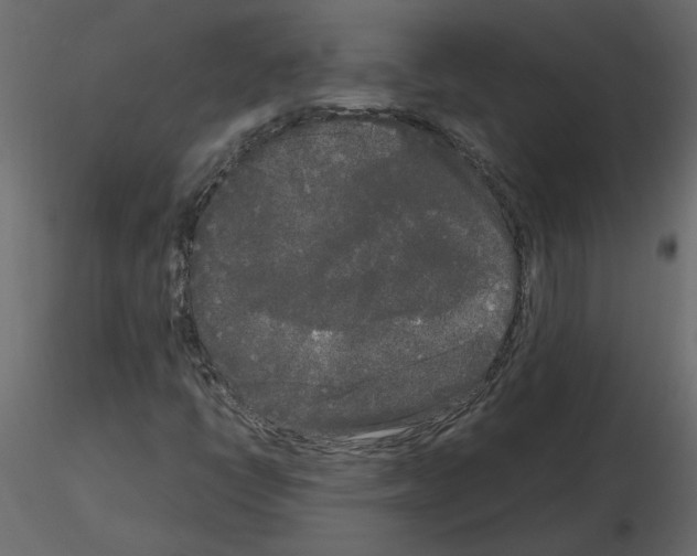 X0000115721398200912241555