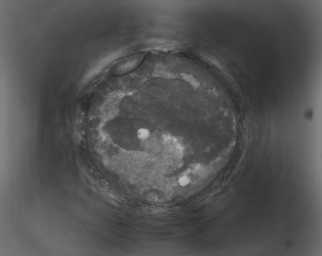 X0000115721399200912241555