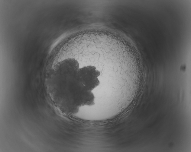 X0000115721400200912241555