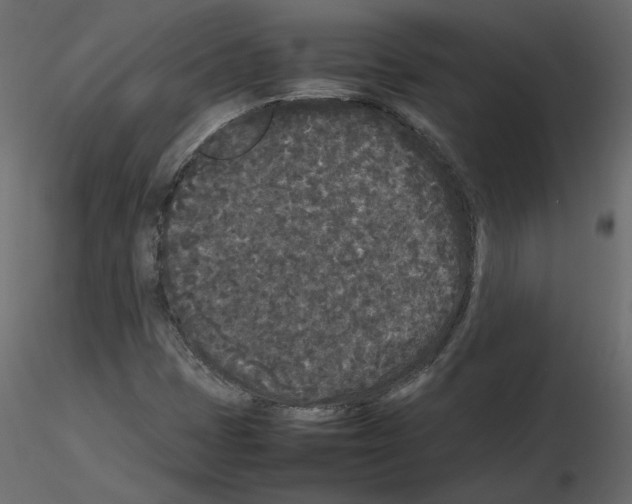 X0000115721401200912241555