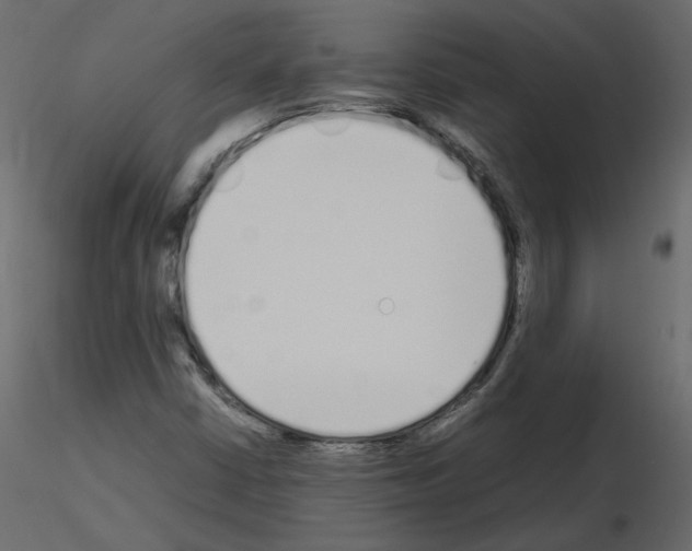 X0000115721402200912241555