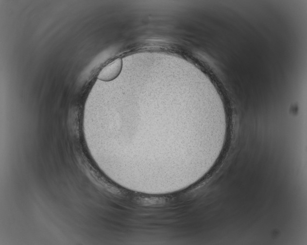 X0000115721403200912241555