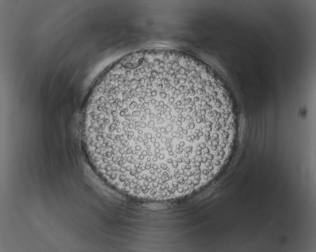 X0000115721404200912241555