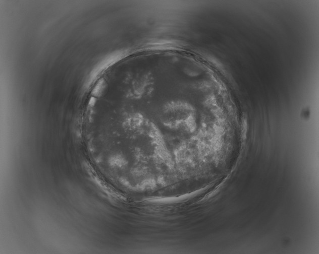 X0000115721405200912241555