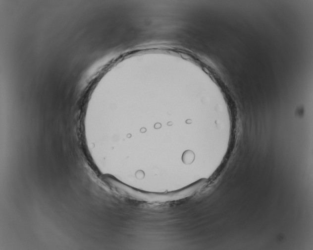 X0000115721406200912241555