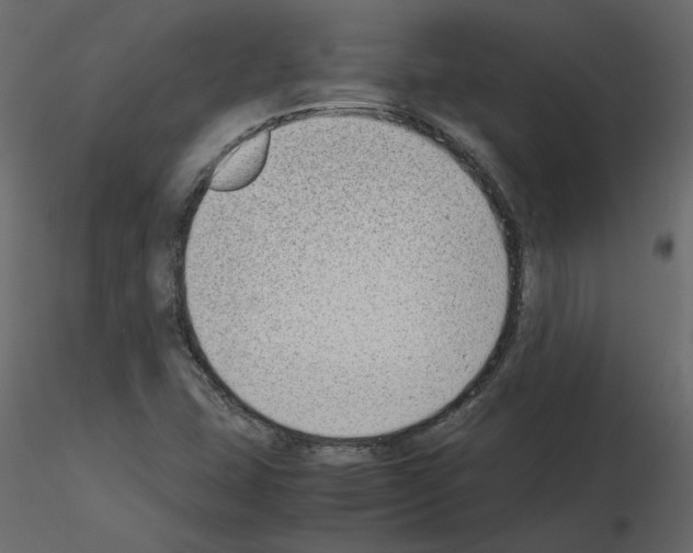 X0000115721407200912241555