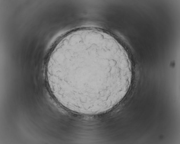 X0000115721408200912241555