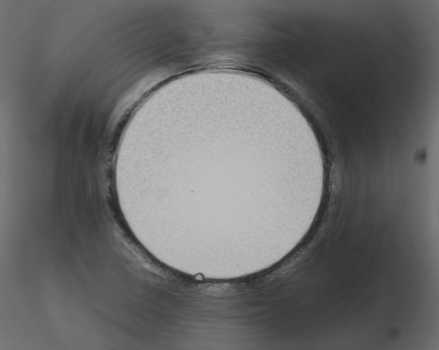 X0000115721410200912241555