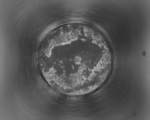 X0000115721411200912241555