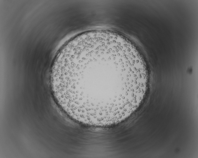X0000115721412200912241555