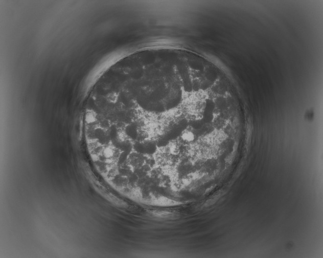 X0000115721413200912241555