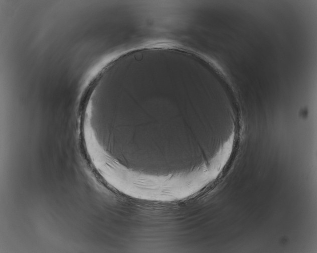 X0000115721414200912241555