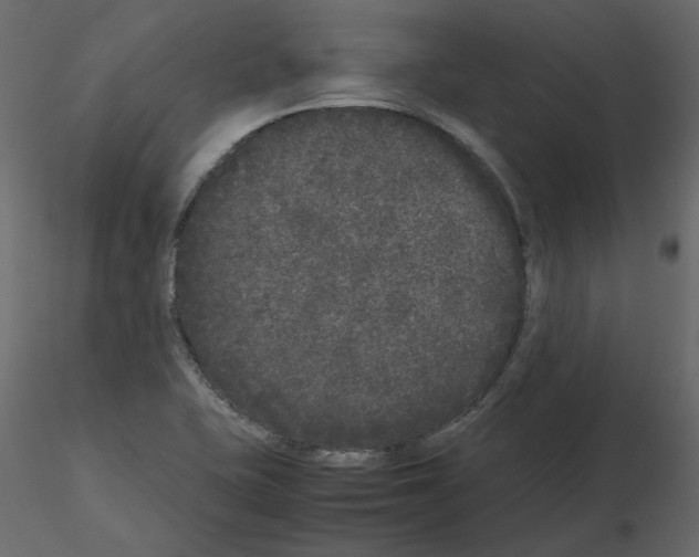 X0000115721415200912241555
