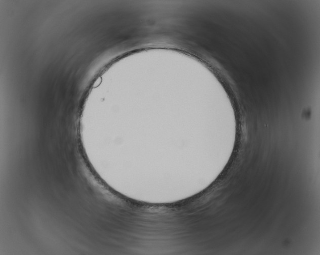 X0000115721416200912241555