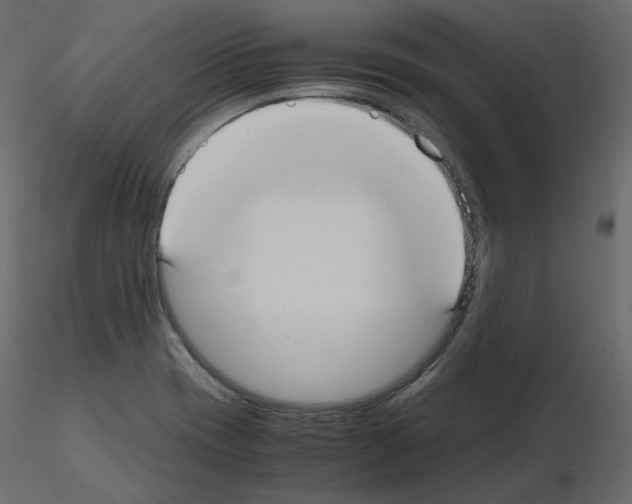 X0000115721417200912241555