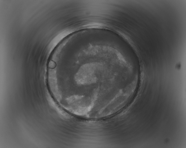 X0000115721418200912241555