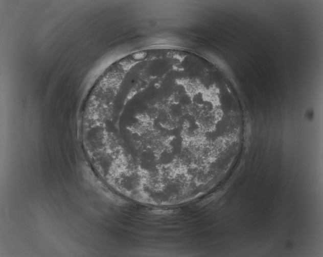 X0000115721419200912241555