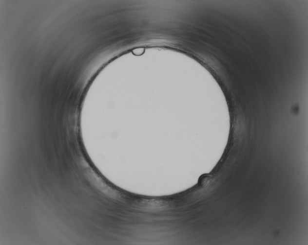 X0000115721420200912241555